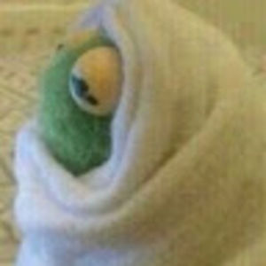 Meet your Posher, Xmjyj